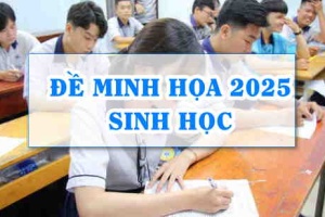 Đề minh họa môn Sinh 2025 thi tốt nghiệp THPT